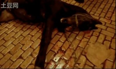 挽歌剧照的剧照