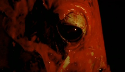 挽歌剧照的剧照