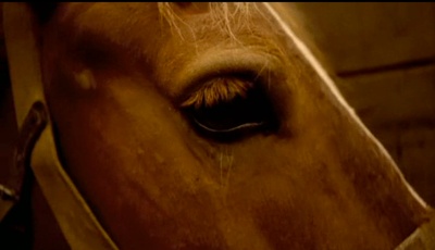 挽歌剧照的剧照