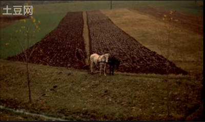 挽歌剧照的剧照