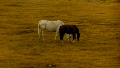 挽歌剧照的剧照