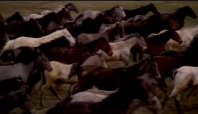 挽歌剧照的剧照