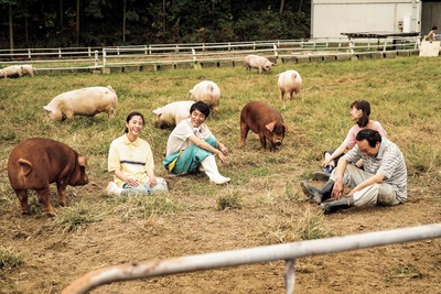 生存家族剧照的剧照