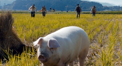 生存家族剧照的剧照