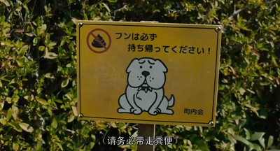 生存家族剧照的剧照