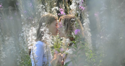 桑格莉之夏剧照的剧照