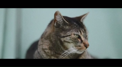 女性瘾者：第一部剧照的剧照