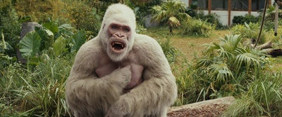 狂暴巨兽剧照的剧照