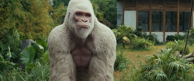 狂暴巨兽剧照的剧照