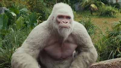 狂暴巨兽剧照的剧照