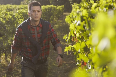 将爱情进行到底剧照的剧照