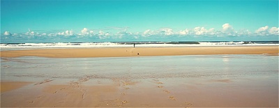 将爱情进行到底剧照的剧照