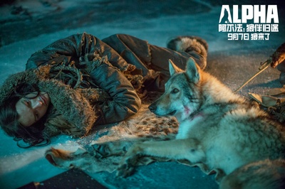 阿尔法：狼伴归途剧照的剧照