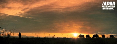 阿尔法：狼伴归途剧照的剧照