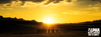 阿尔法：狼伴归途剧照的剧照