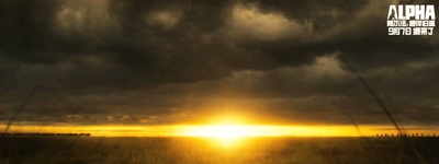 阿尔法：狼伴归途剧照的剧照