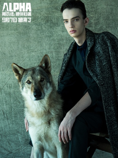 阿尔法：狼伴归途剧照的剧照