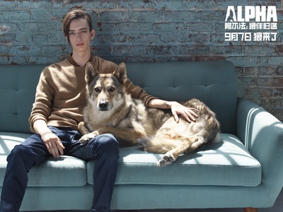 阿尔法：狼伴归途剧照的剧照