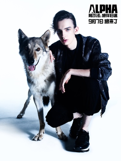 阿尔法：狼伴归途剧照的剧照