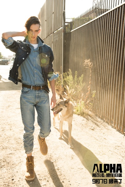 阿尔法：狼伴归途剧照的剧照