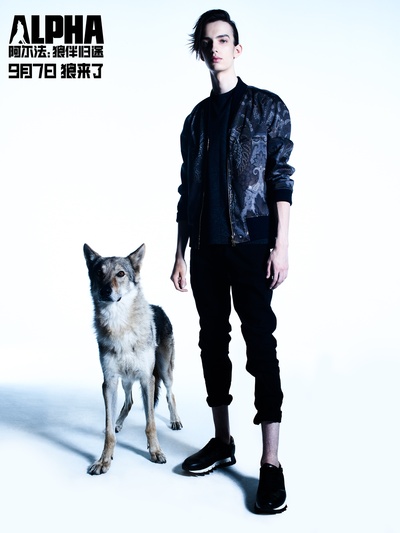 阿尔法：狼伴归途剧照的剧照