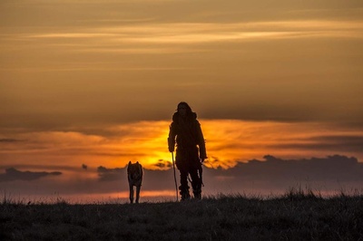 阿尔法：狼伴归途剧照的剧照