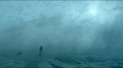 阿尔法：狼伴归途剧照的剧照