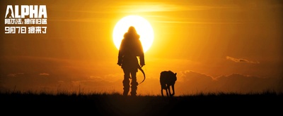 阿尔法：狼伴归途剧照的剧照
