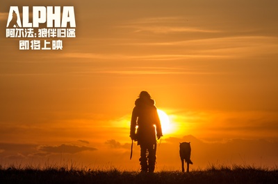 阿尔法：狼伴归途剧照的剧照