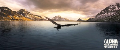 阿尔法：狼伴归途剧照的剧照