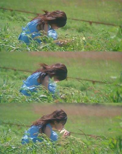 四月物语剧照的剧照