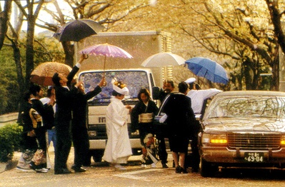 四月物语剧照的剧照