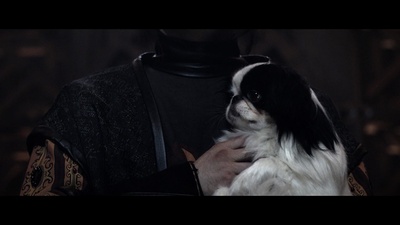 最后的骑士剧照的剧照