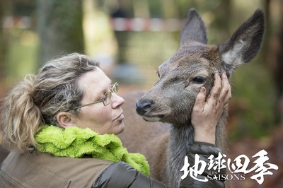 地球四季剧照的剧照