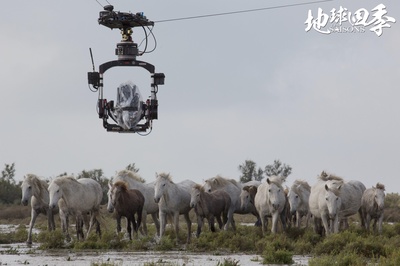 地球四季剧照的剧照