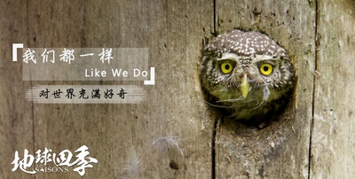 地球四季剧照的剧照