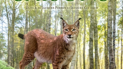 地球四季剧照的剧照