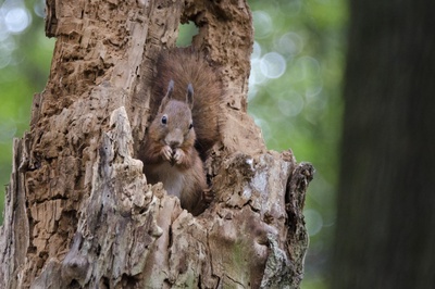 地球四季剧照的剧照