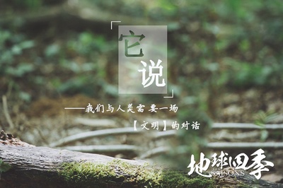 地球四季剧照的剧照