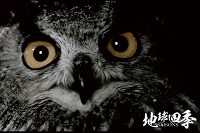 地球四季剧照的剧照