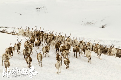 地球四季剧照的剧照