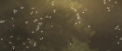 地球四季剧照的剧照