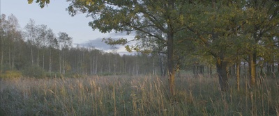 地球四季剧照的剧照