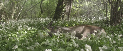 地球四季剧照的剧照