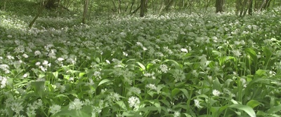 地球四季剧照的剧照