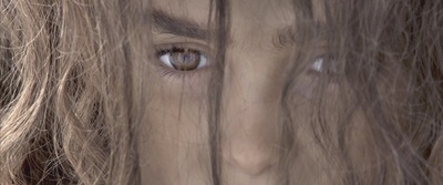 地球四季剧照的剧照