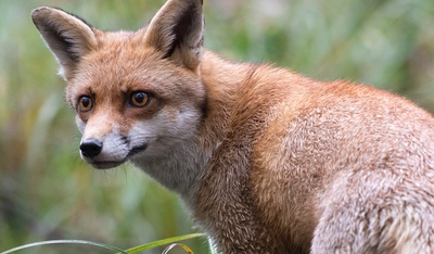 地球四季剧照的剧照