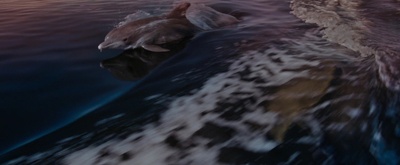 夜色人生剧照的剧照