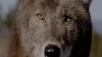 保持站立剧照的剧照