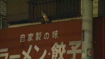 新世纪福音战士剧场版：Air/真心为你剧照的剧照